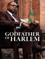 Godfather of Harlem Saison 1 en streaming