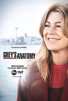 Grey's Anatomy Saison 15 en streaming