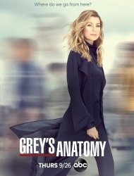 Grey's Anatomy Saison 16 en streaming