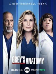 Grey's Anatomy Saison 20 en streaming