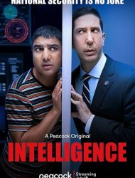 Intelligence Saison 1 en streaming