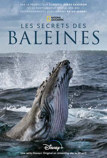 Les Secrets des baleines Saison 1 en streaming