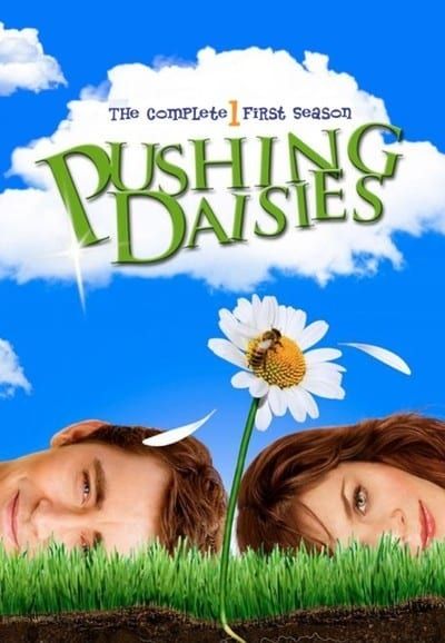 Pushing Daisies Saison 1 en streaming