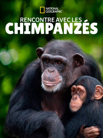 Rencontre avec les chimpanzés Saison 1 en streaming