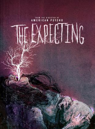 The Expecting Saison 1 en streaming