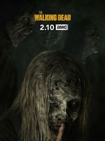 The Walking Dead Saison 9 en streaming