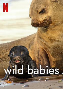 Wild Babies : Petits et Sauvages Saison 1 en streaming