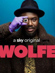 Suivez la série Wolfe en streaming en VF et en VOSTFR